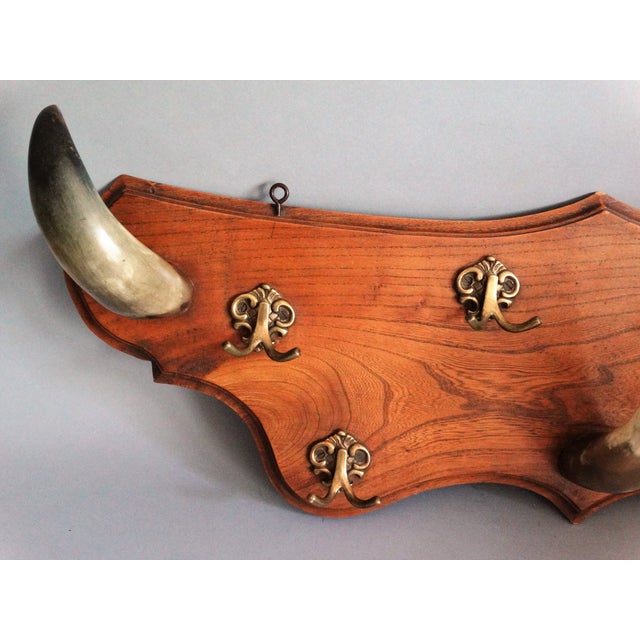 Early Continental Horn Hat & Coat Rack Chairish