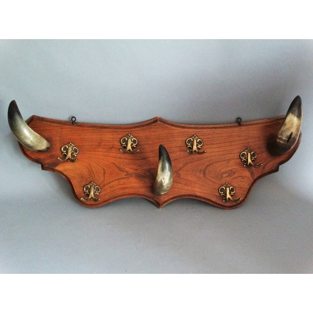 Early Continental Horn Hat & Coat Rack Chairish