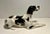 Vintage Ussr Period Lomonosov LFZ English Pointer Dog Porcelain Figurine For Sale - Image 4 of 8
