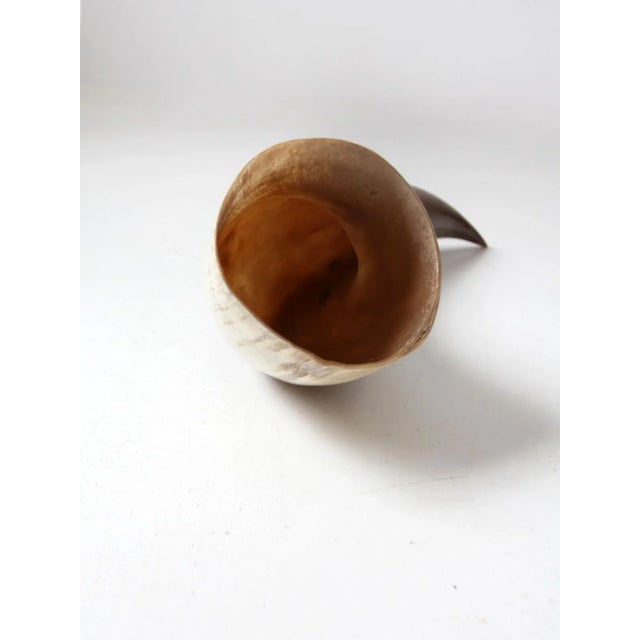 Contemporary Vintage Polished Horn For Sale - Image 3 of 12