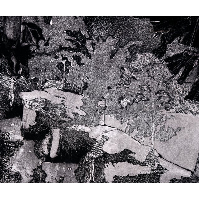 Black Crow and Man - Abstracted Etching in Ink on Paper by Claudette McElroy For Sale - Image 8 of 11