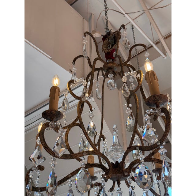 Dennis & Leen Chantilly Chandelier For Sale - Image 10 of 12