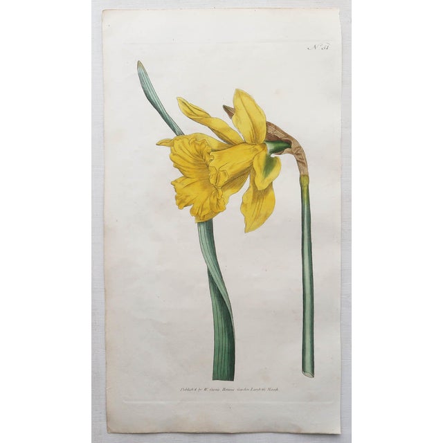 Wonderful set of 12 botanical prints. Hand coloured copper-plate engravings After drawings by J.Sowerby Published by...