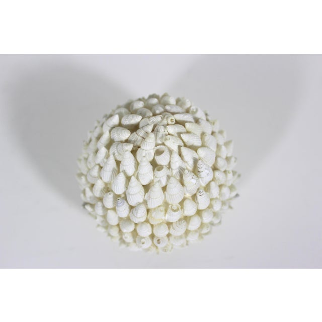 Vintage Decorative Shell Ball Sphere For Sale - Image 4 of 6