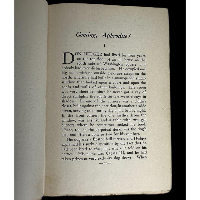 Antique 1920 Book "Youth & the Bright Medusa" Willa Cather 1st Ed For Sale - Image 6 of 7