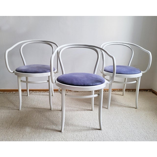 Set of three bentwood chairs from the 1970s with lilac-colored Alcantara-covered seats. Good vintage condition with minor...