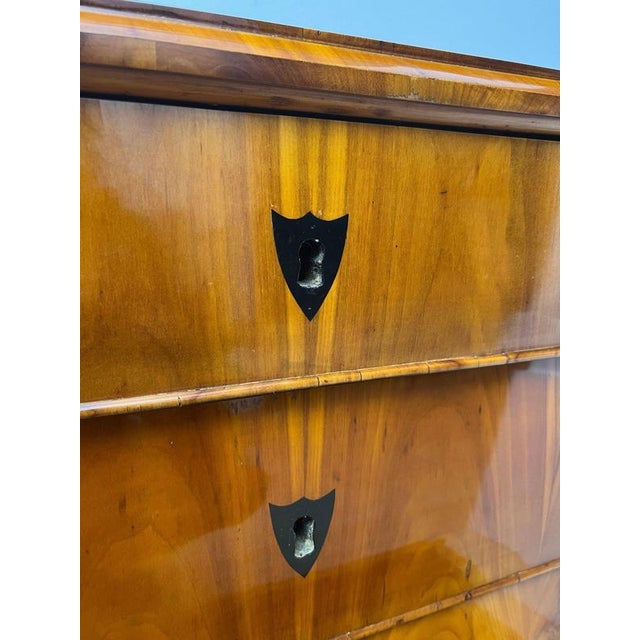 Biedermeier Ebonized Chest of Drawers in Cherry Veneer, South Germany, 1830 For Sale - Image 10 of 18