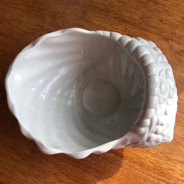 Late 20th Century Pearl White Conch Shells Cachepots Set of 2 Chairish