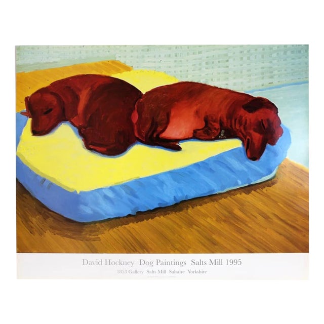 David Hockney, Dog 38, 1995, Paper For Sale
