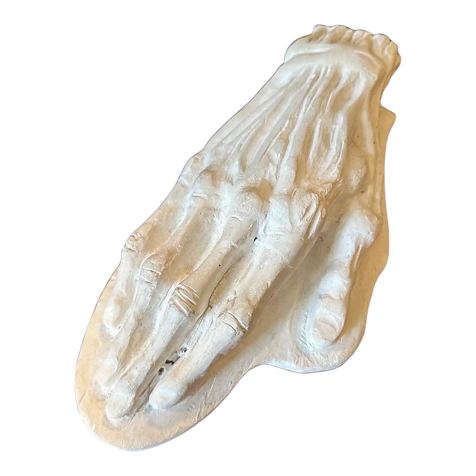 1950s Plaster Anatomic School Study of a Human Hand | Chairish