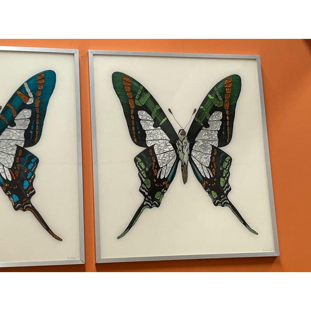 Michele Astolfi, Green Butterfly, 2000s, Mixed Media, Framed For Sale - Image 3 of 6