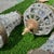 French Vintage Gold Metal and Crystal Collection of Baby Pendant Lights- Set of 9 For Sale - Image 3 of 7