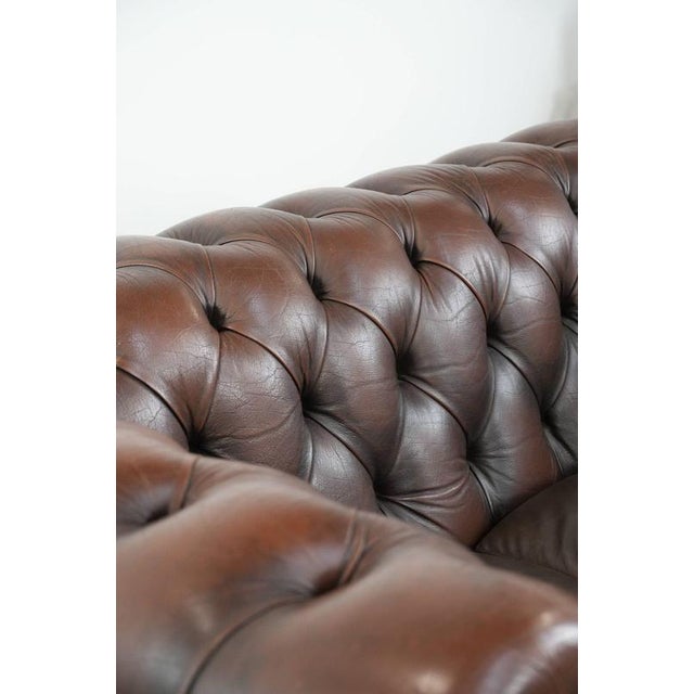 Vintage Chesterfield Two-Seater Sofa in Dark Brown Cowhide For Sale - Image 11 of 18