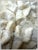 Late 20th Century Large Natural Ruffled Foliose Coral Skeleton Specimen 12" Coastal Decor For Sale - Image 5 of 6