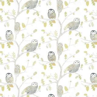 Harlequin Little Owls Wallpaper in Powder For Sale