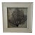 Framed Natural Sea Fan For Sale