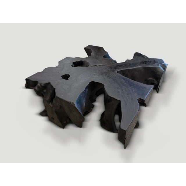 Andrianna Shamaris Organic Teak Wood Root Coffee Table For Sale - Image 16 of 18