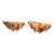 Pair of 1970s Oversized Nautical Wooden Shell Bowls For Sale
