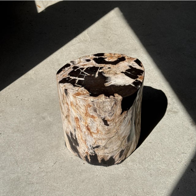 Black Side Table in Petrified Wood with Black Spots, 1980s For Sale - Image 8 of 18