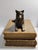 For your consideration . . . A vintage bronze sculpture design of a wolf lying on the top of a faux leather book. The...
