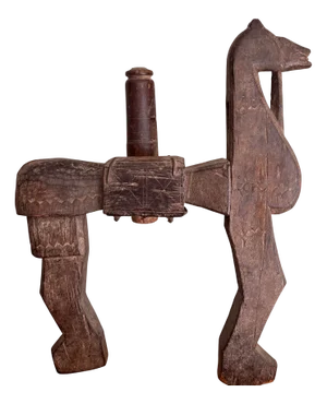 Indian Naga Land Horse