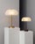 Glass Hana MD Table Lamp in Borosilicate Glass and Brass Finish by Schwung For Sale - Image 7 of 18