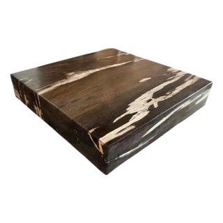 Andrianna Shamaris Petrified Wood Slab For Sale