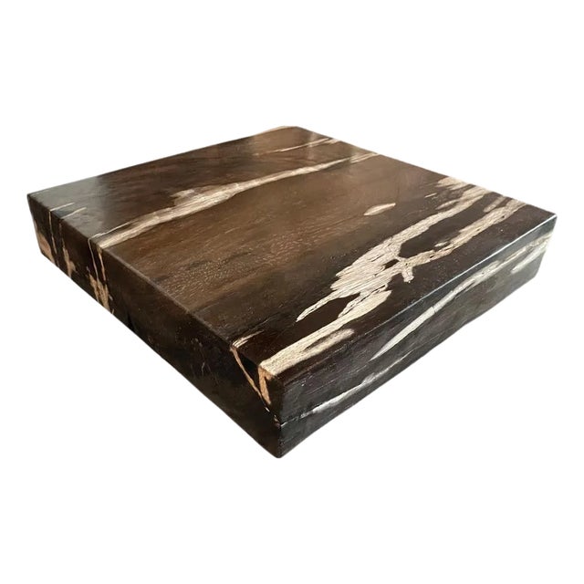 Andrianna Shamaris Petrified Wood Slab For Sale