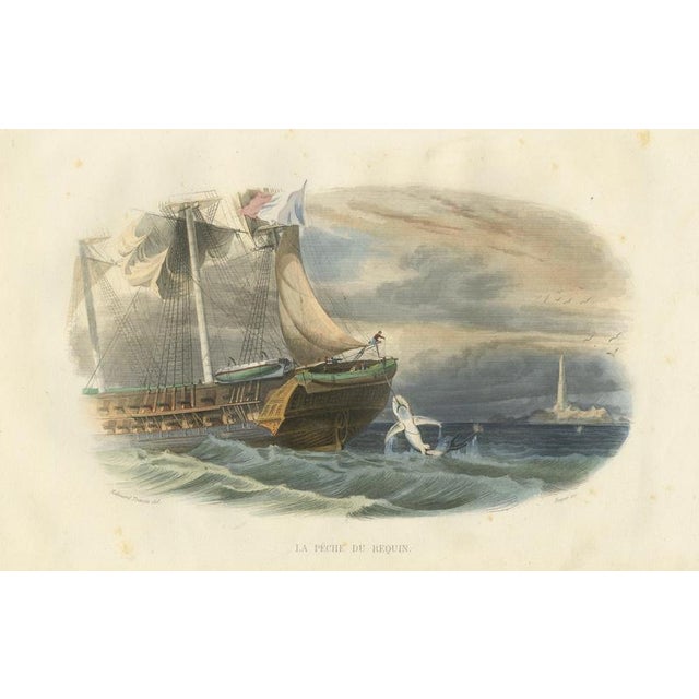After Édouard Traviès, Shark Fishing, 1840, Hand-Colored Engraving For Sale - Image 10 of 10