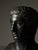 Greek Style Bust of Doryphoros, Late 20th Century, Gypsum For Sale - Image 15 of 18
