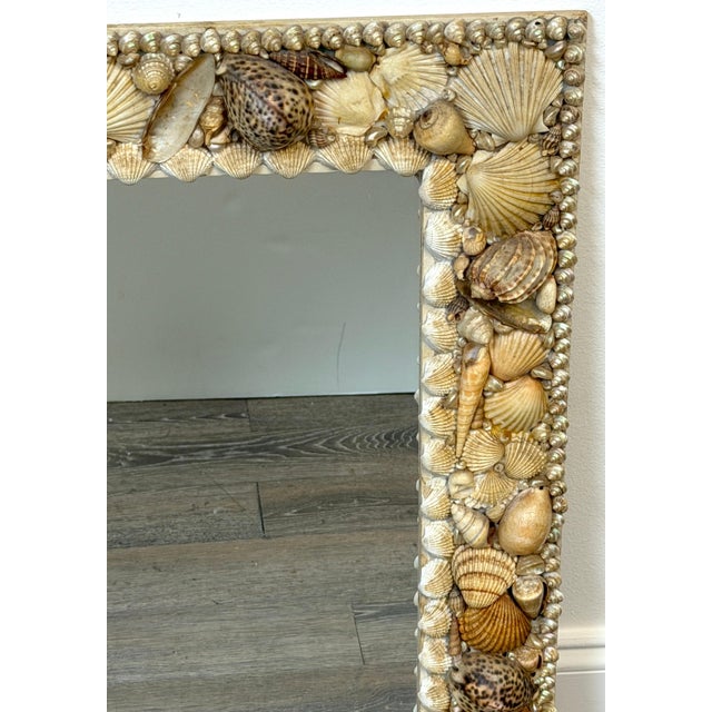 1960s Coastal Bohemian Specimen Shell Encrusted Mirror with Tiger Cowries For Sale - Image 13 of 14