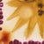 Sun No.11 - Original Contemporary Folk Art Acrylic and Gouache Painting on Raw Canvas by Meredith Walker For Sale - Image 4 of 9