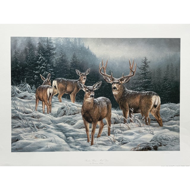 Broken Silence - Mule Deer by Rosemary Millette - S/N Lithograph - Signed - Mint For Sale