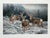 Broken Silence - Mule Deer by Rosemary Millette - S/N Lithograph - Signed - Mint For Sale