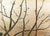 "Sakura and Mejiro Birds", 1970s Showa Era Japanese Byobu Screen For Sale - Image 9 of 18