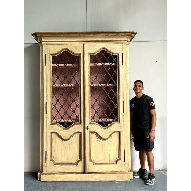 Vintage Regency Faux Finished Trellis Armoire For Sale - Image 4 of 6