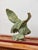 Hand-Carved Stylized Eagle in Soapstone For Sale - Image 4 of 12
