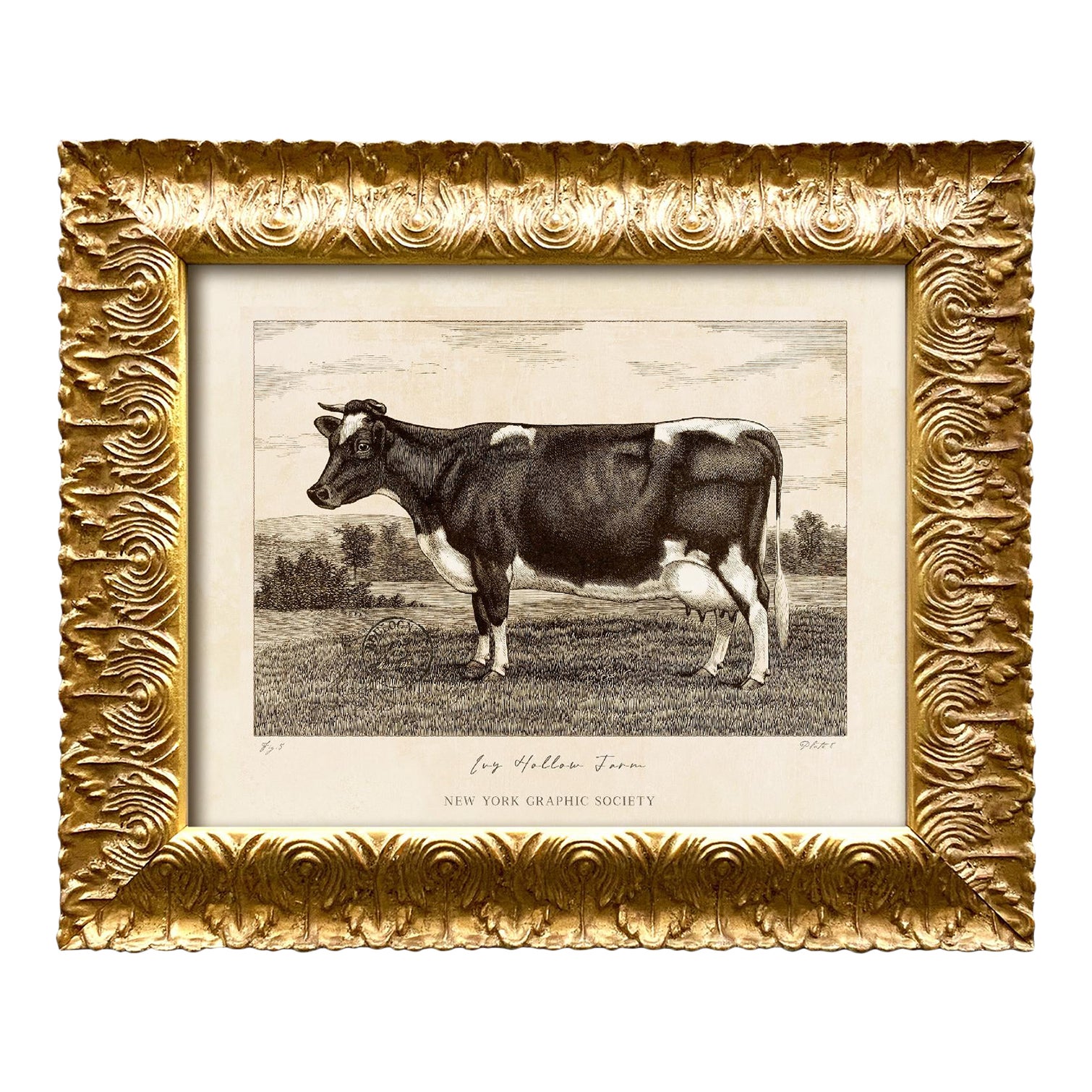 Reproduction Art Print of Vintage Holstein Cow (1) in Ornate Gold Frame ...