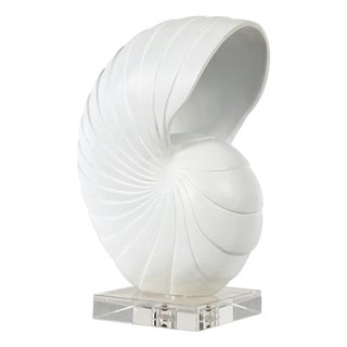 Nautilus Shell Large, White For Sale