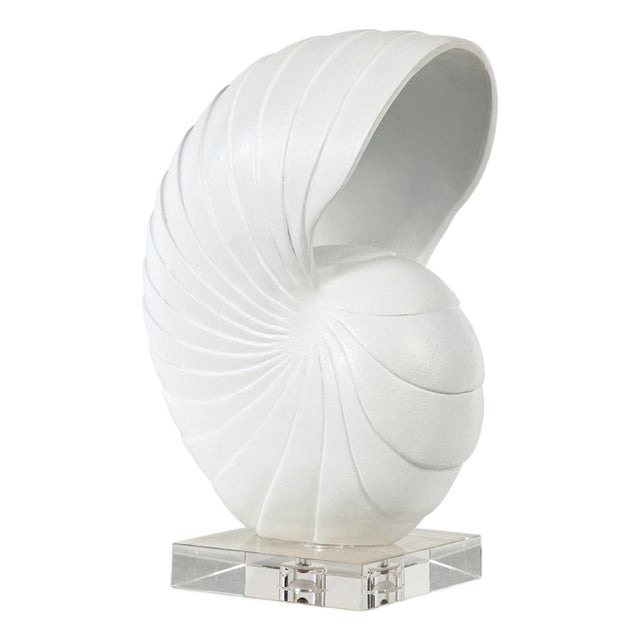 Nautilus Shell Large, White For Sale