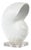 Nautilus Shell Large, White For Sale