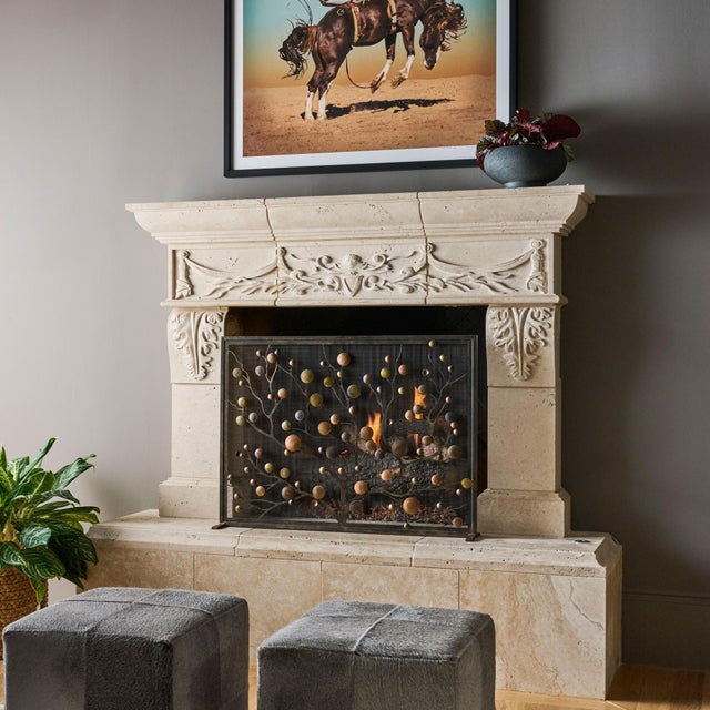 Metal Origin Mid Century Modern Fireplace Screen For Sale - Image 7 of 12