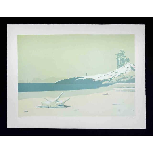 Lithograph on Magnani-Pescia paper. Paper size 60cmx80cm, work size 47cmx68cm. Excellent condition, no defects. Gino Guida...