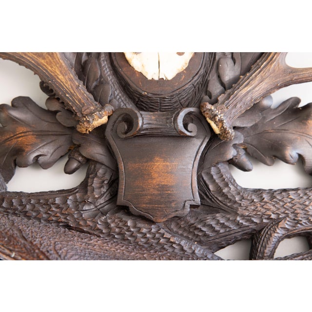 Wood 19th Century Black Forest Antlers Trophy Mount Mantel Wall Plaque For Sale - Image 7 of 11