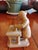 1970s Pair Vitalino Filho Caruaru Brazil Folk Art Terracotta Occupational Sculptures For Sale - Image 10 of 12