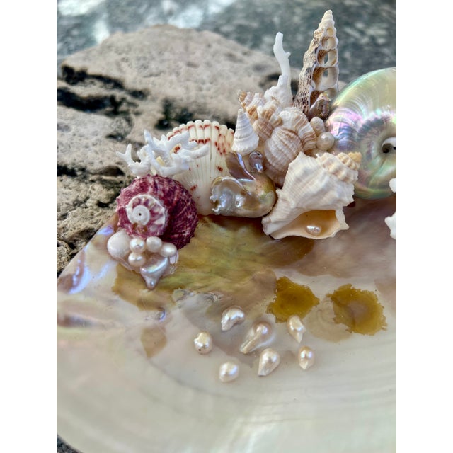 Christa's South Seashells CSS Small Seashell Catchall For Sale - Image 4 of 5