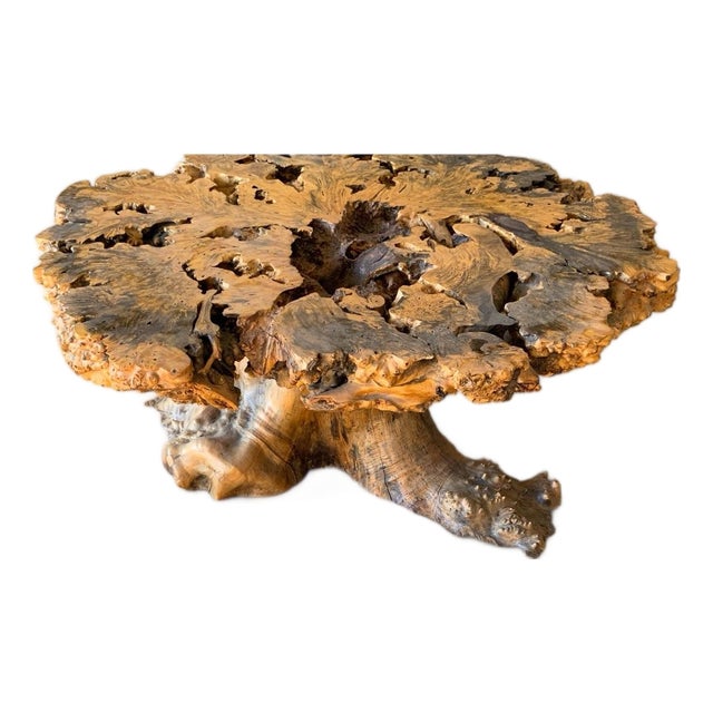 Signed 1970s California Studio Craft Live-Edge Buckeye Burl Root Mushroom Coffee Table "Flight Into Freedom" For Sale