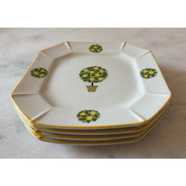 Set of 4 Mid Century Rossini Octagon Plates With Lemon Topiaries For Sale - Image 4 of 6