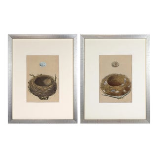 Pair of 19th C. Francis Morris Bird Nest Woodblock Prints For Sale