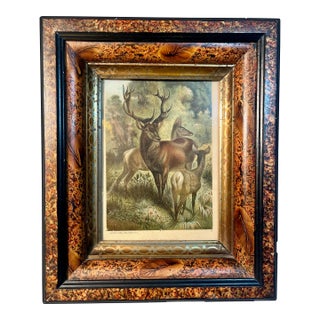Victorian Burled Walnut Framed Print of Stag or Red Deer 1890s 3 Stack Frame With Chromolithograph For Sale